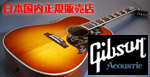 Gibson aco
